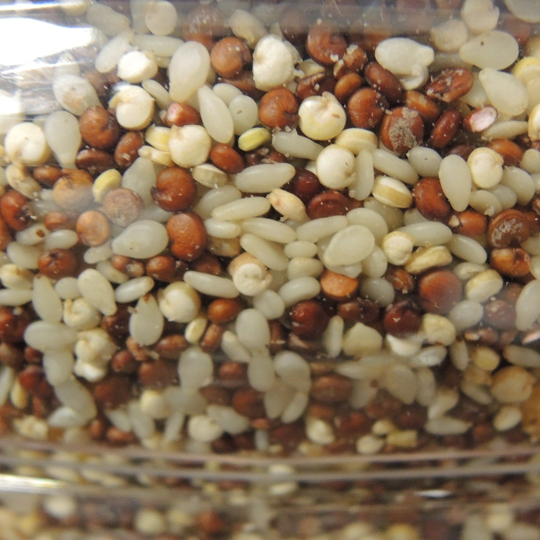 Quinori : quinoa & riz bio - 500 g