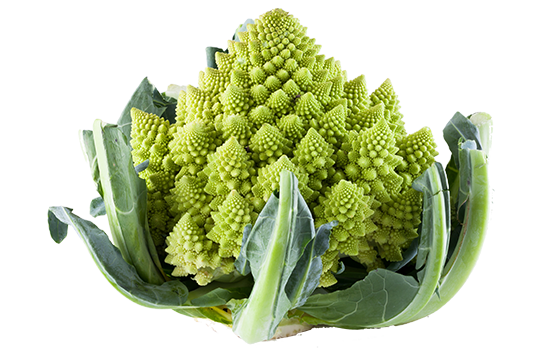 Chou Romanesco Bio, origine Alsace , 1 pièce